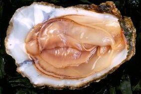 Oysters are a powerful sexual stimulant