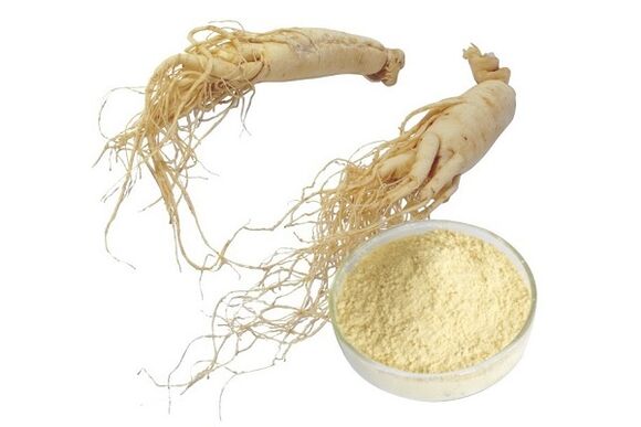 Ginseng root increases libido and improves erection